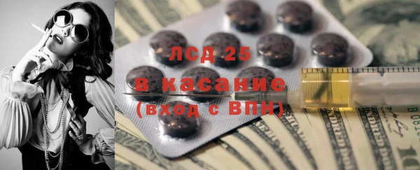 прущие грибы Аркадак