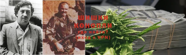 прущие грибы Аркадак