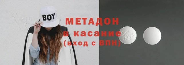прущие грибы Аркадак