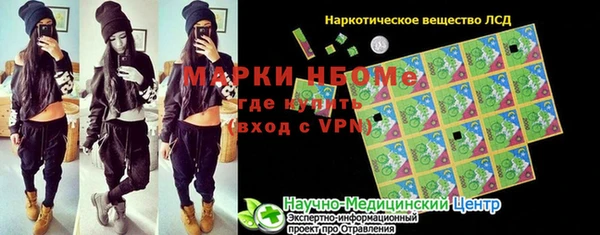 прущие грибы Аркадак