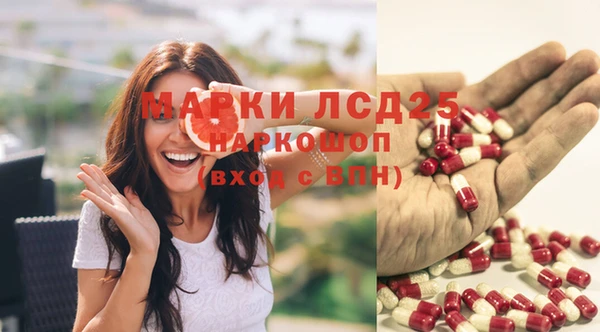 прущие грибы Аркадак