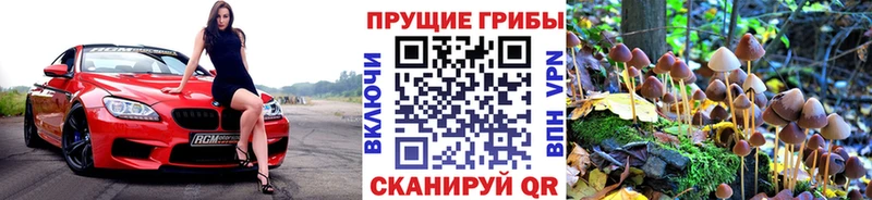 Псилоцибиновые грибы MAGIC MUSHROOMS Печора